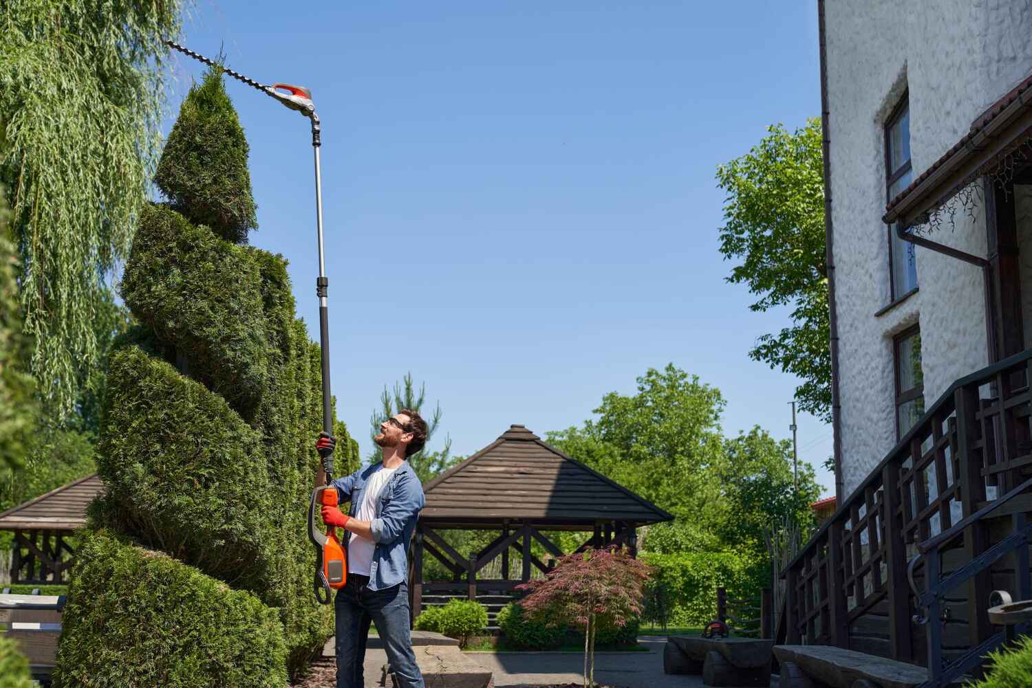 Best Tree Removal Near Me  in Sparta, MO